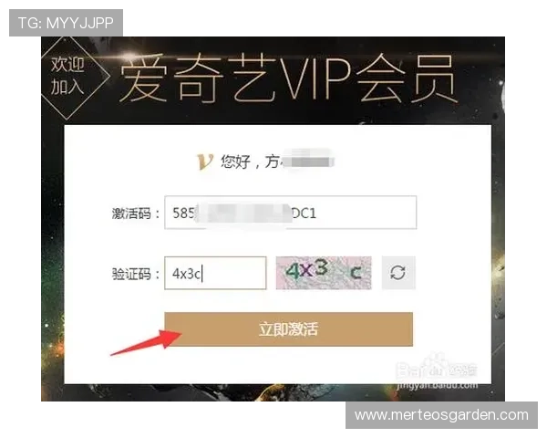 爱游戏网站会员登录指南,详细步骤帮助你顺利完成账号登录流程